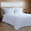 Providence 3-Piece White Cotton Velvet Comforter Set, King