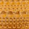 Amber swatch