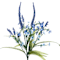 Blue swatch