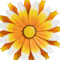 Yellow swatch