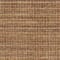 Birch swatch