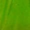 Green swatch
