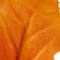 Orange swatch