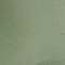 Green swatch