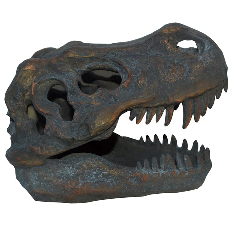 Resin T Rex Fossil Head 7 5in At Home