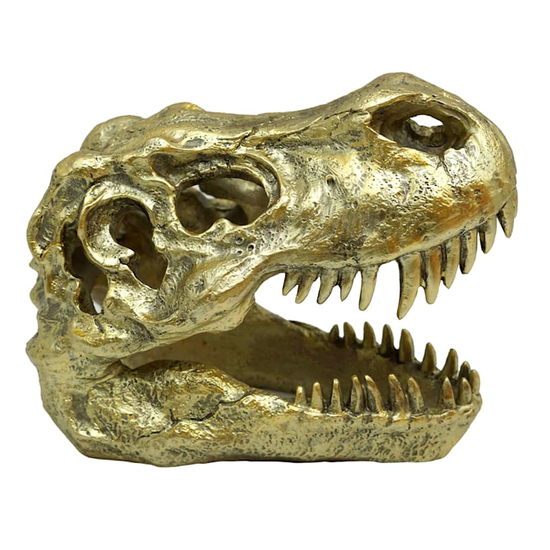 dinosaur head fossil