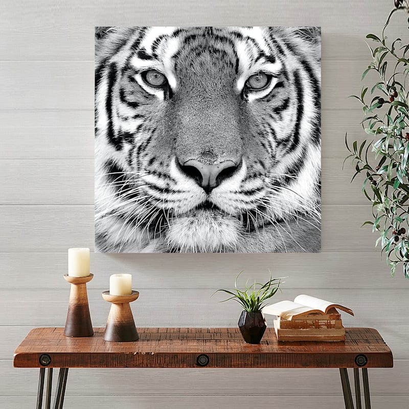 30X30 Tiger Canvas Art | At Home