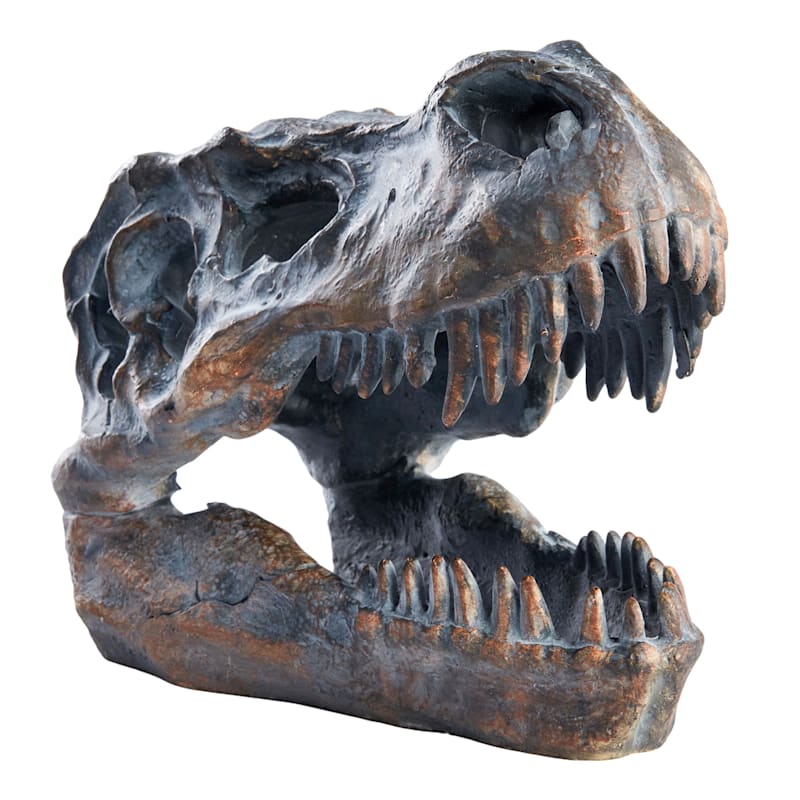 Brown T-Rex Fossil Head, 6"