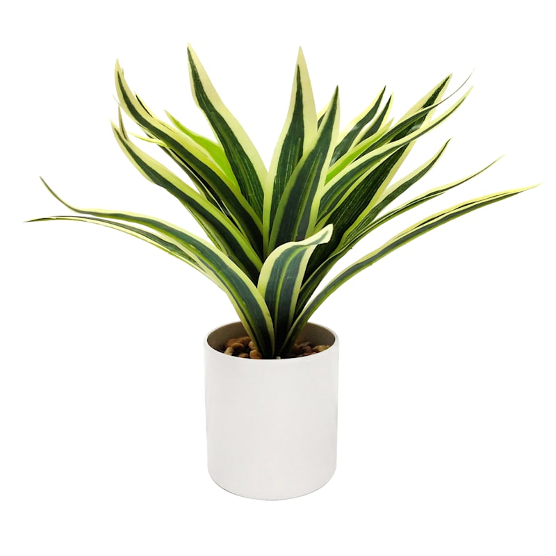 Grass Plant with White Planter, 9"