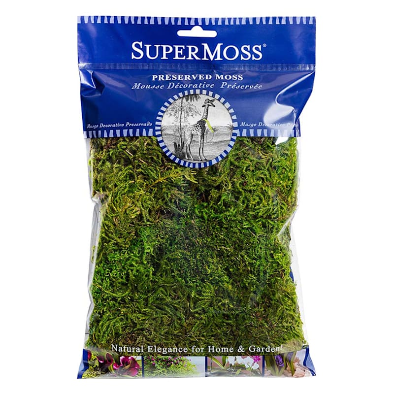 Preserved Forest Moss, 2oz