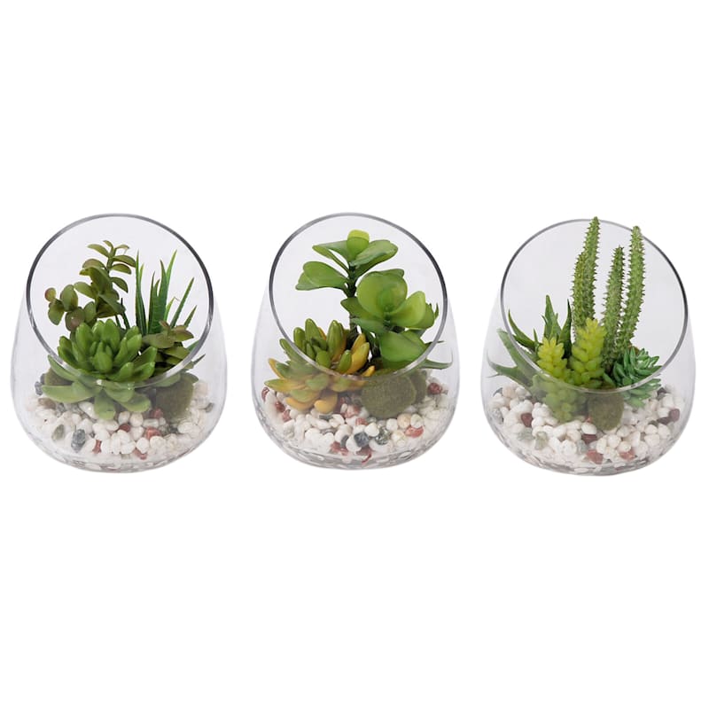 3-Piece Assorted Succulent Glass Terrarium Set, 6.5"