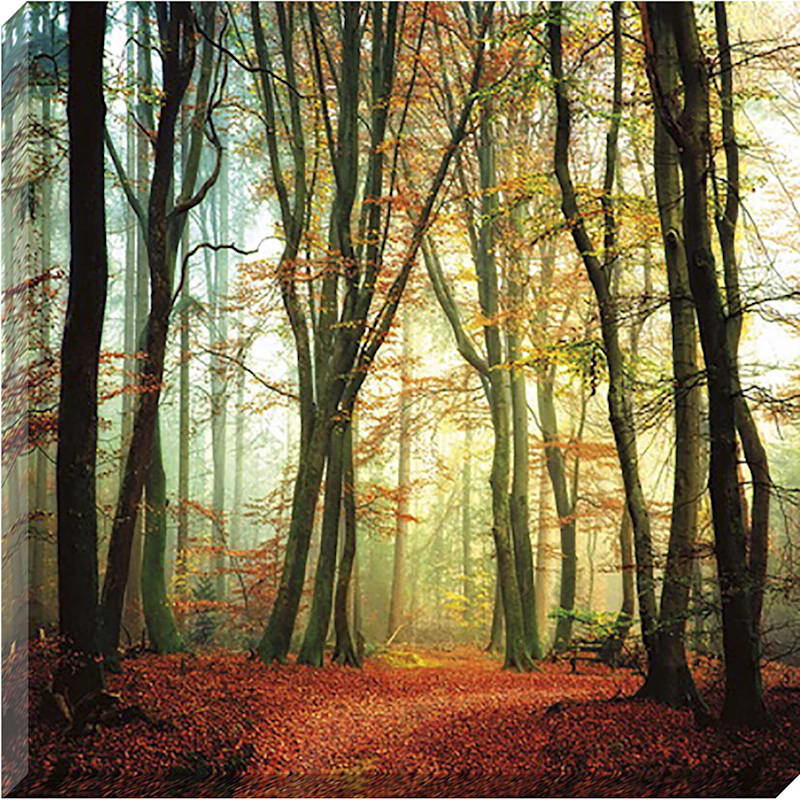 Fall Woods Textured Canvas Wall Art, 35"