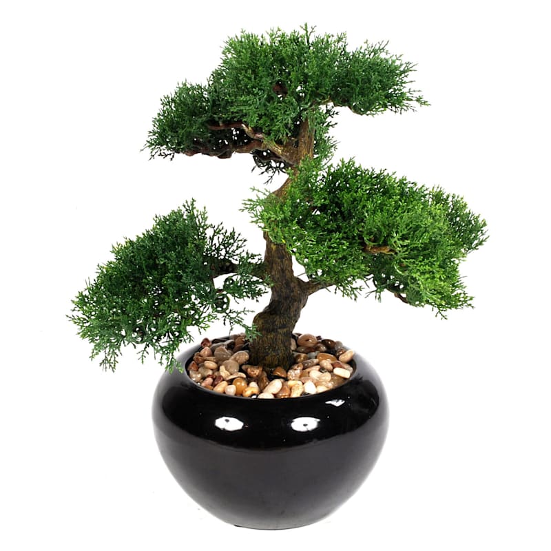 Bonsai Tree Plant with Black Ceramic Planter, 14.5"