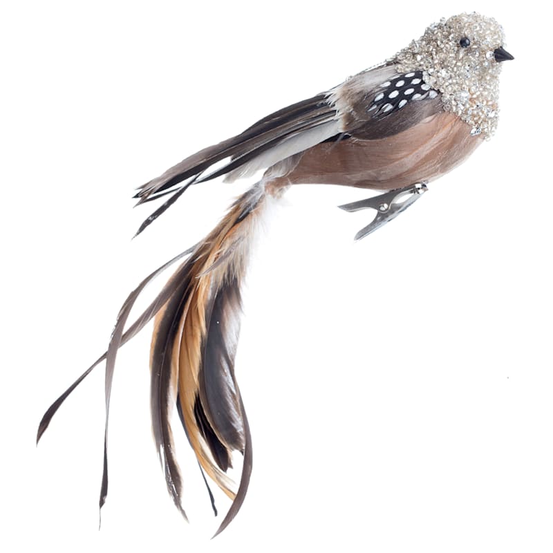 Brown Feather Bird Clip Ornament, 9.5"