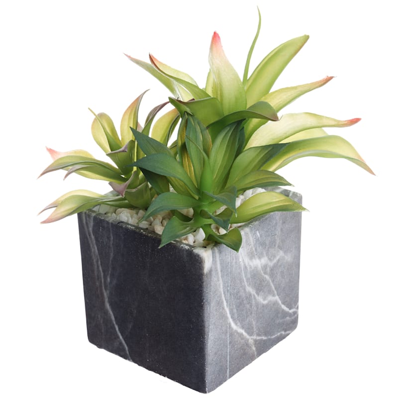 Agave Plant with Cement Planter, 9"