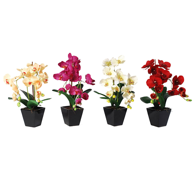 4 Assorted Orchid Flowers with Black Planter, 17"