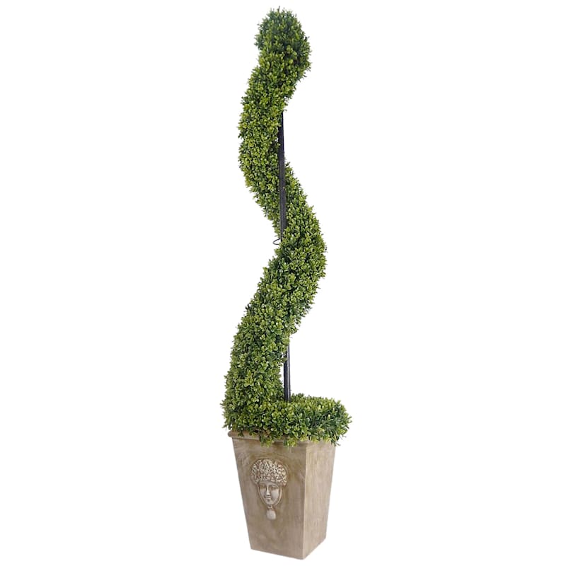 Boxwood Spiral Topiary with Romanesque Planter, 67"