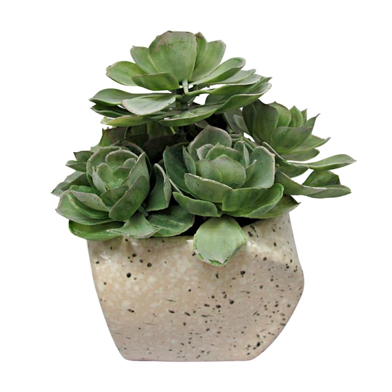 Succulent with Stone Look Planter, 8"