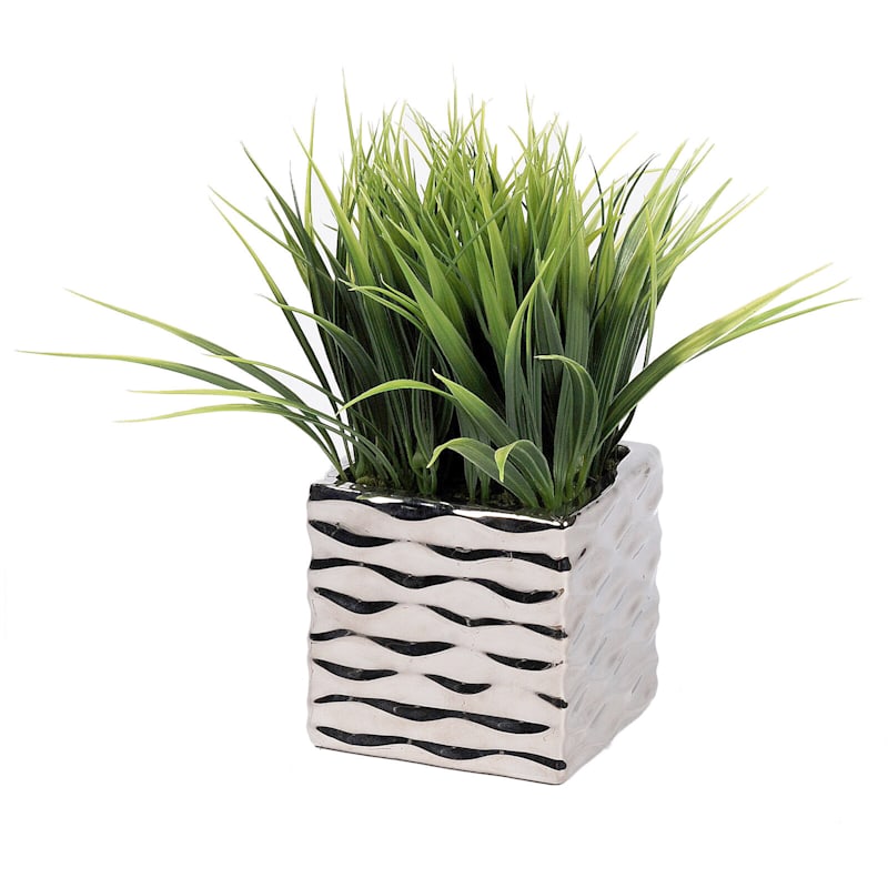 Grass Plant with Silver Wave Planter, 10"