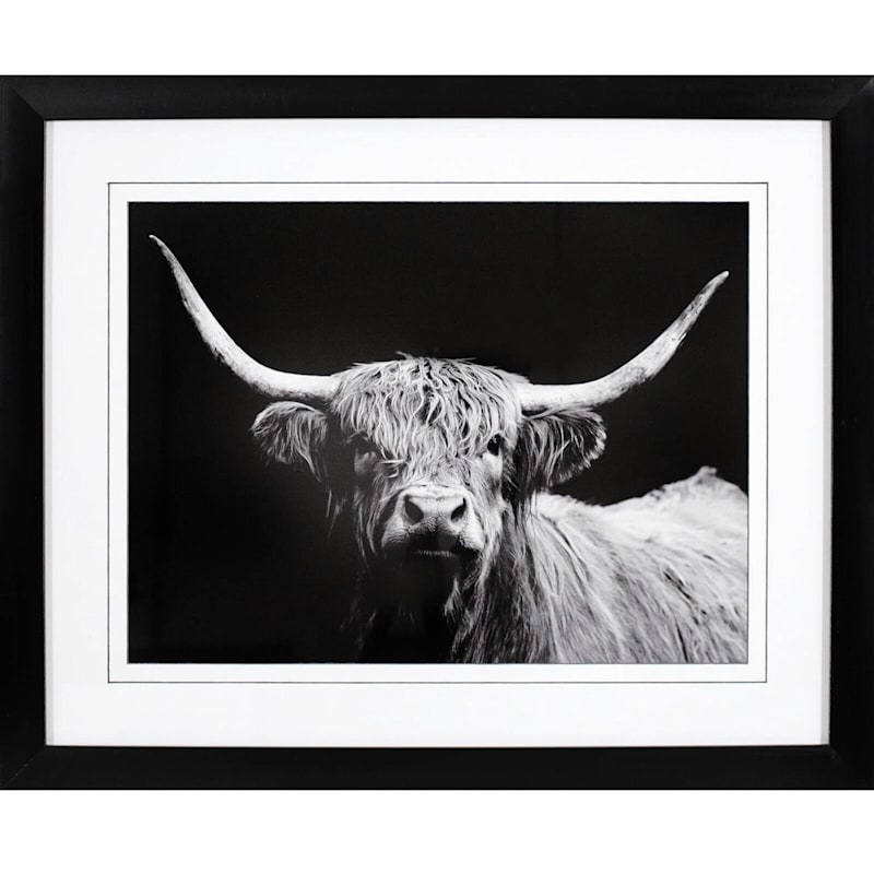 Glass Framed Highland Cow Matted Wall Art, 16x20
