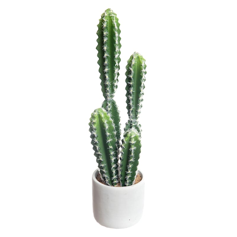 Cactus with White Planter, 18"