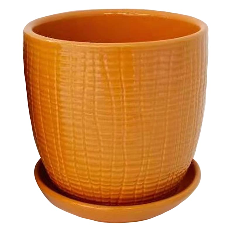Honey Ginger Tulip Planter with Saucer, 5"