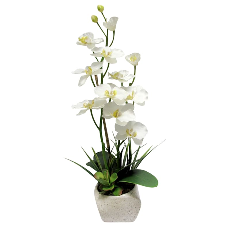 White Orchid Flower with Stone Planter, 23"