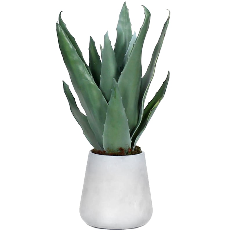 Plant Leaves with Cement Planter, 23"