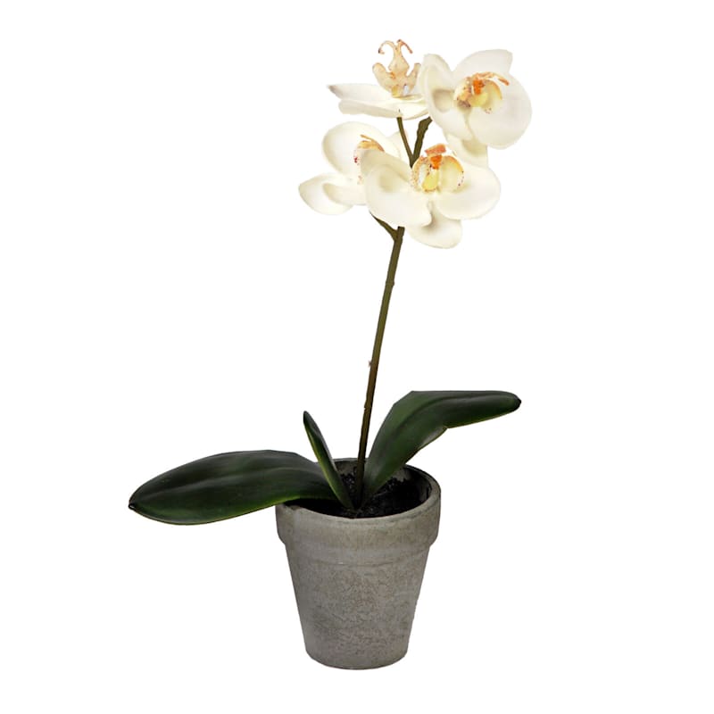 White Orchid Flower with Gray Planter, 13"