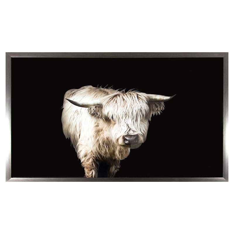 Framed Black & White Highland Cow Canvas Wall Art, 36x24