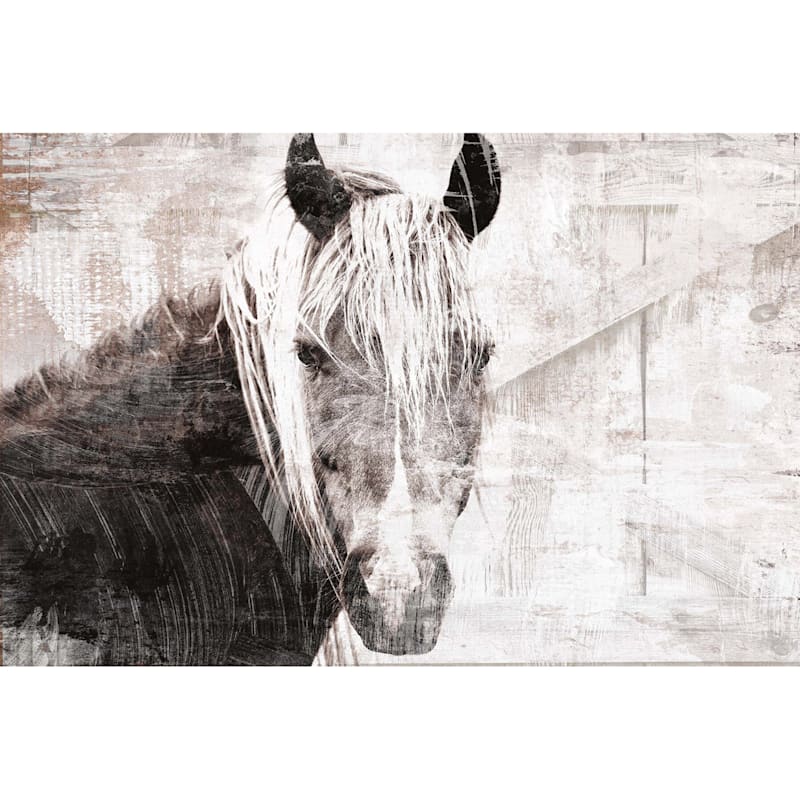 Horse Portrait Canvas Wall Art, 36x24
