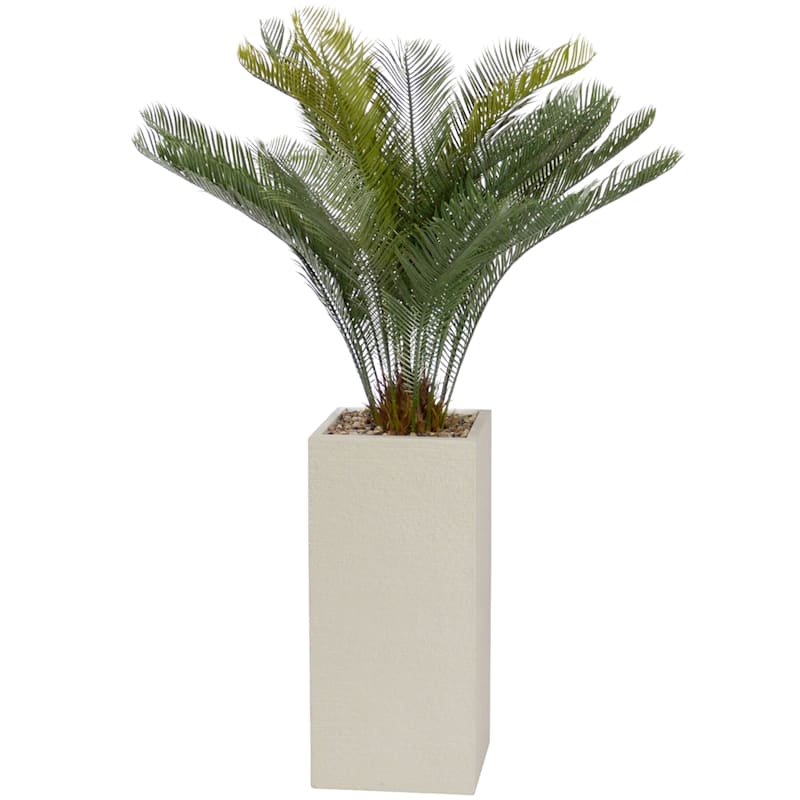 Palm with Square Textured Planter, 54"