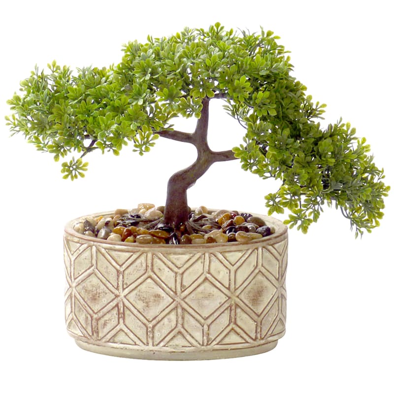 Bonsai Tree with Glazed Ceramic Planter, 11.5"