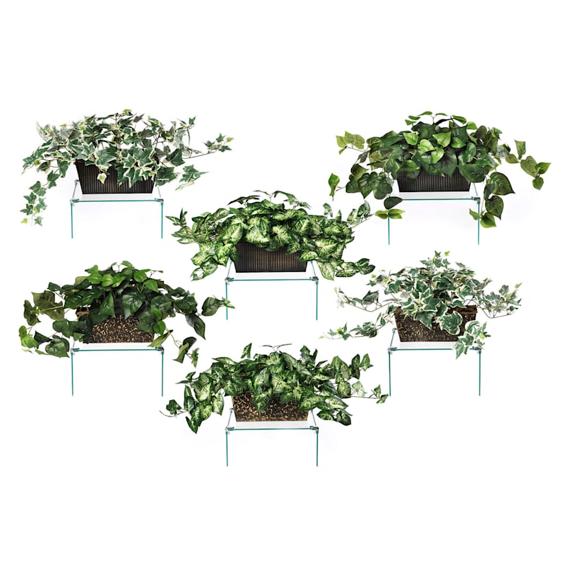 Assorted Greenery Plants on Metal Ledge, 11"