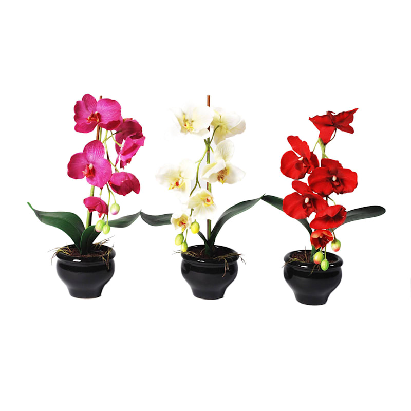 3 Assorted Orchid Flowers with Black Planter, 15"