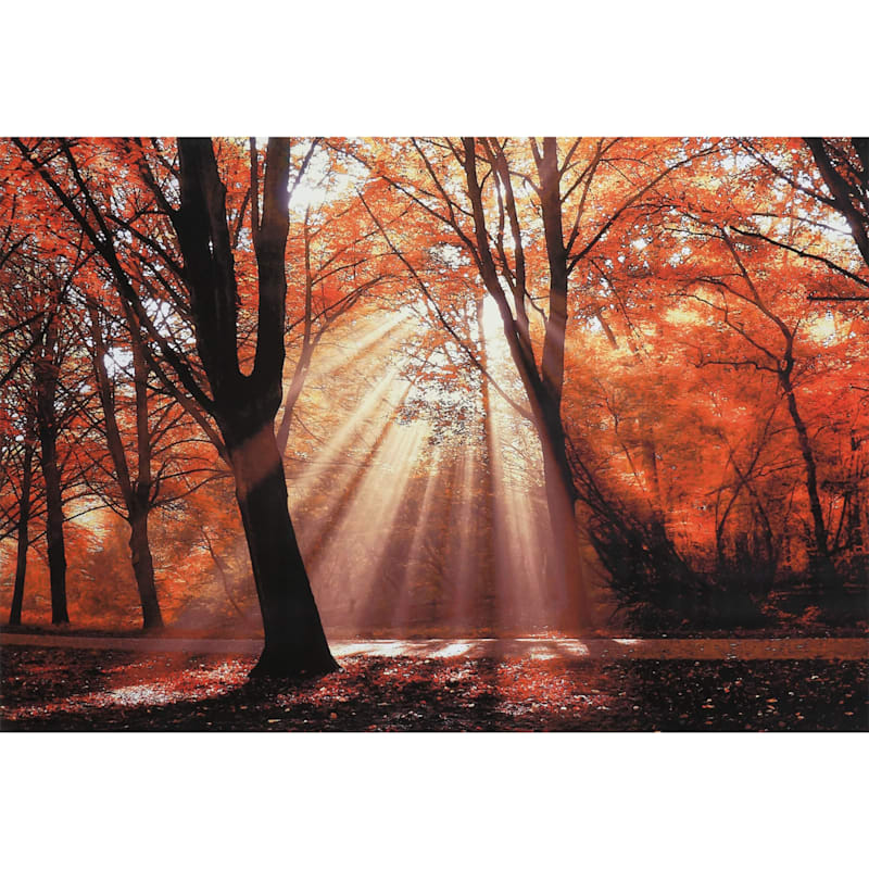 Dressed to Shine Canvas Wall Art, 36x24 | At Home | The Home Decor & Holiday Superstore