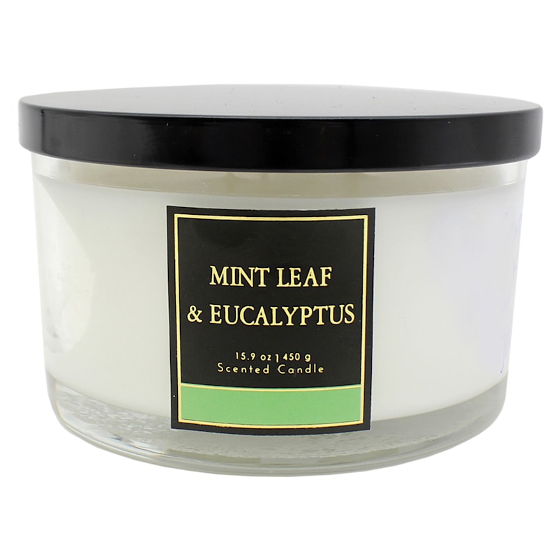 Mint Leaf & Eucalyptus Scented Jar Candle, 15.9oz