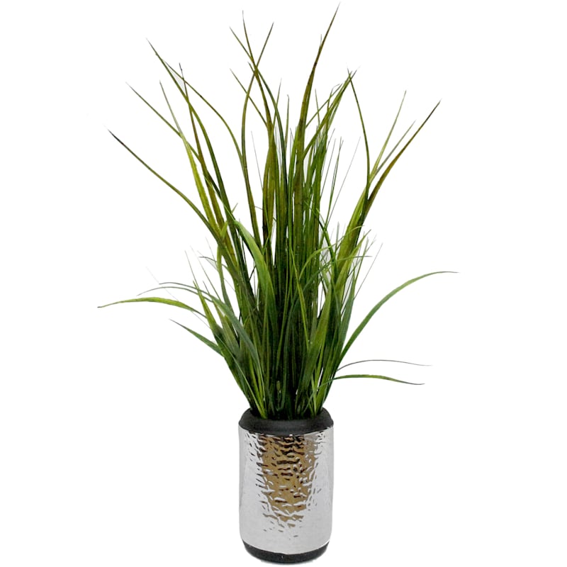 Grass Plant with Silver Ceramic Planter, 22"