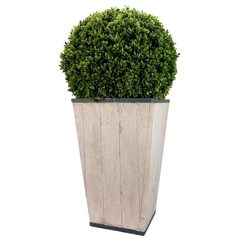 Boxwood Topiary Ball with Gray Planter, 34"