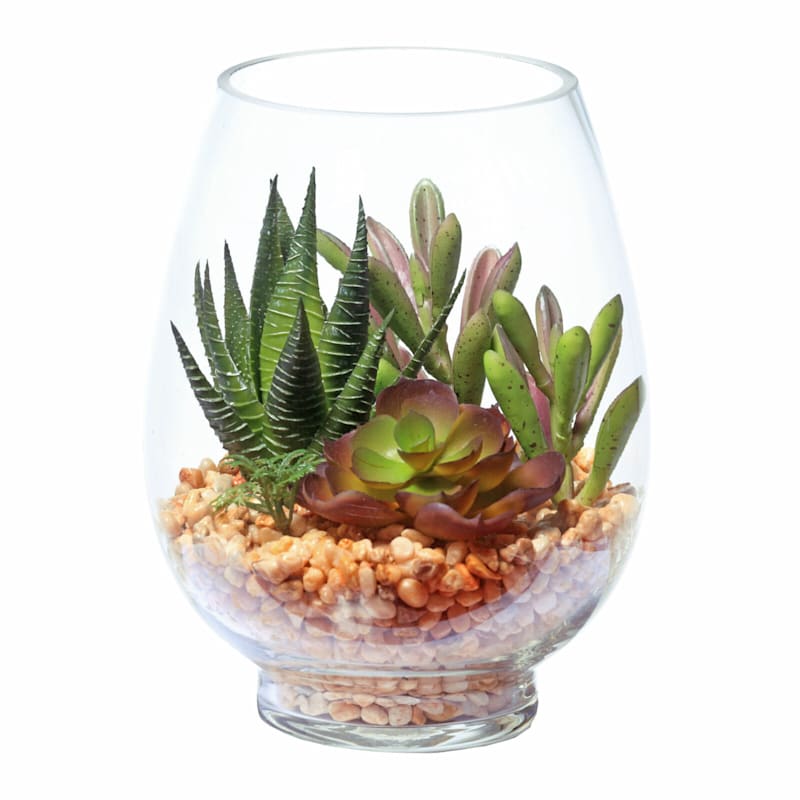 Succulent Mix with Glass Cylinder Planter, 6.5"