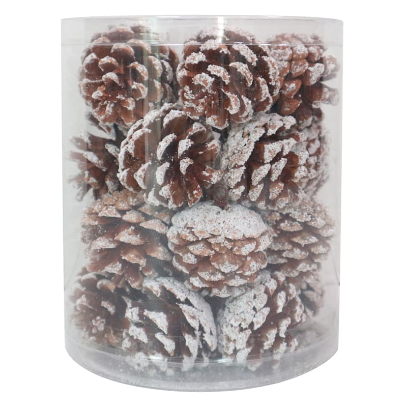 Ty Pennington 20-Count Frosted Pinecone Shatterproof Ornaments