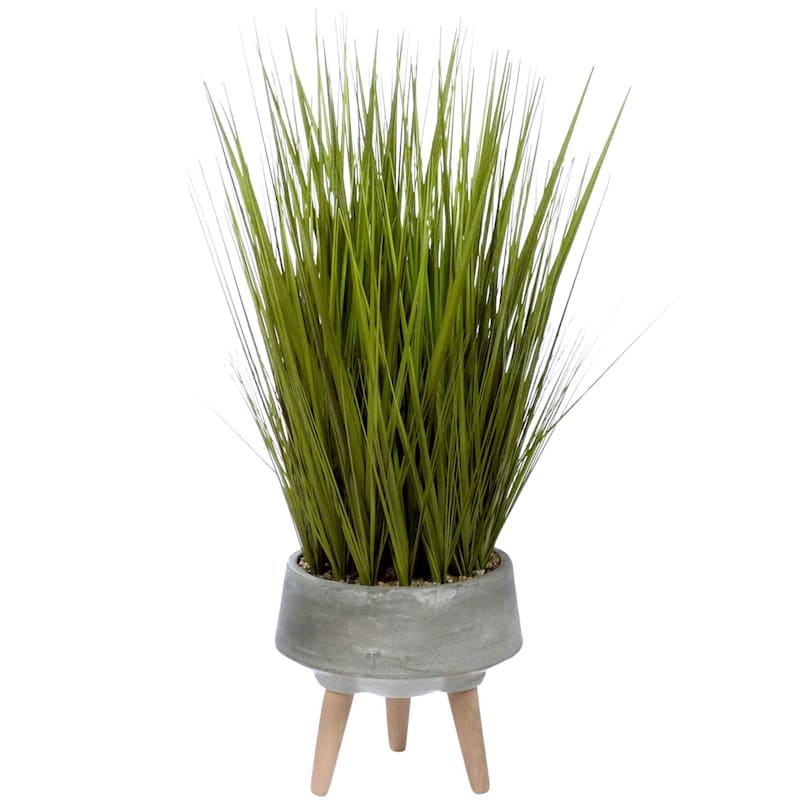 Found & Fable Green Grass Bundle with Cement Pot, 34"