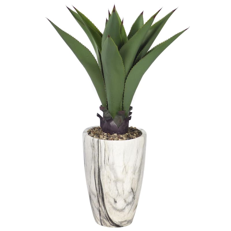 Agave with Marbled Planter, 36"