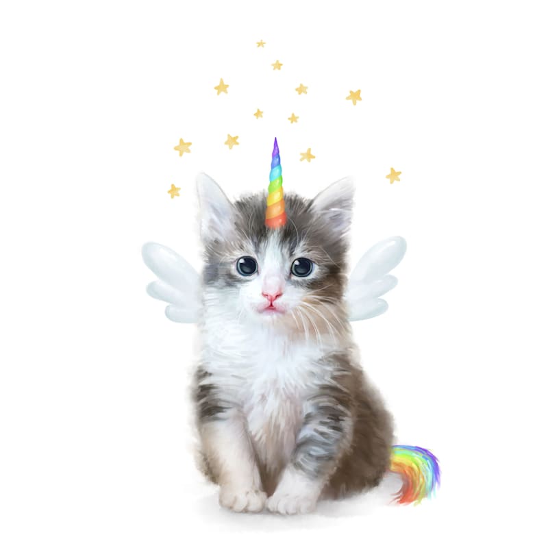 https://static.athome.com/images/w_800,h_800,c_pad,f_auto,fl_lossy,q_auto/v1629490608/p/124314616/unicorn-rainbow-kitten-canvas-wall-art-12x16.jpg