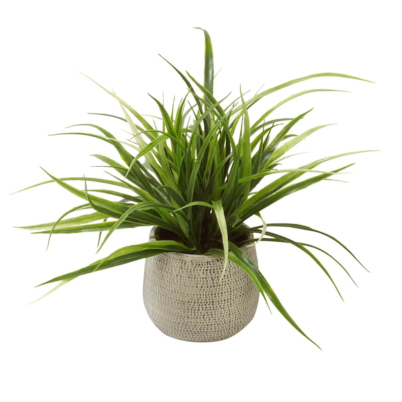 Grass Plant with Textured Planter, 11"