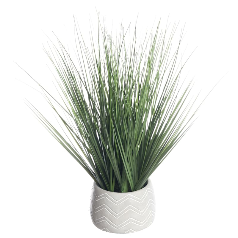 Onion Grass Plant with Cement Planter, 16"