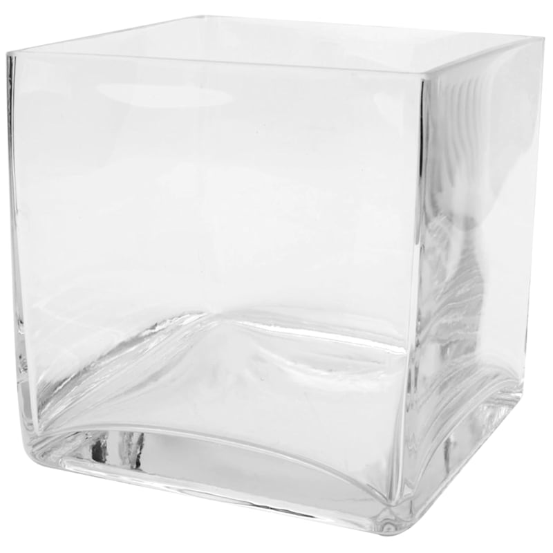 Besøg bedsteforældre Føde annoncere Clear Glass Cube Vase, 6"