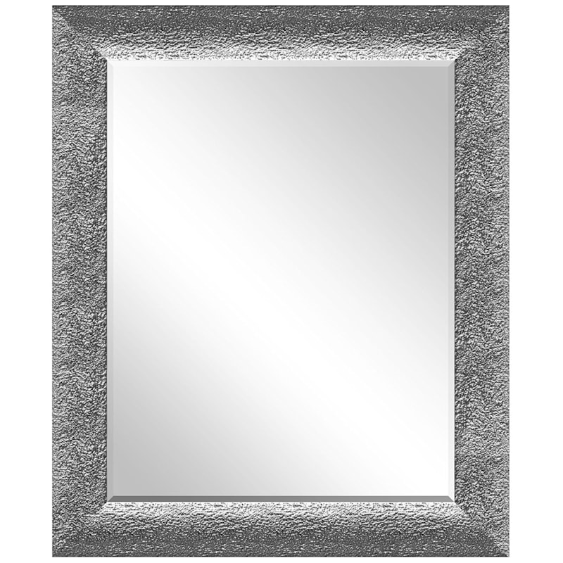 Re sales silver mirror
