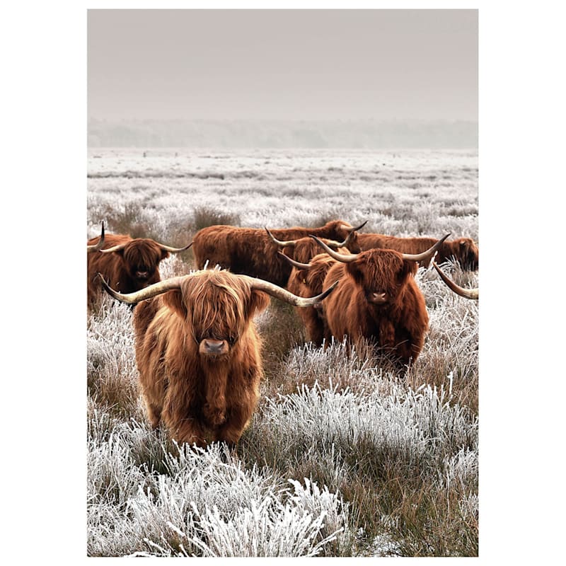 Framed Gathering of Highland Cows Embellished Canvas, 24x36
