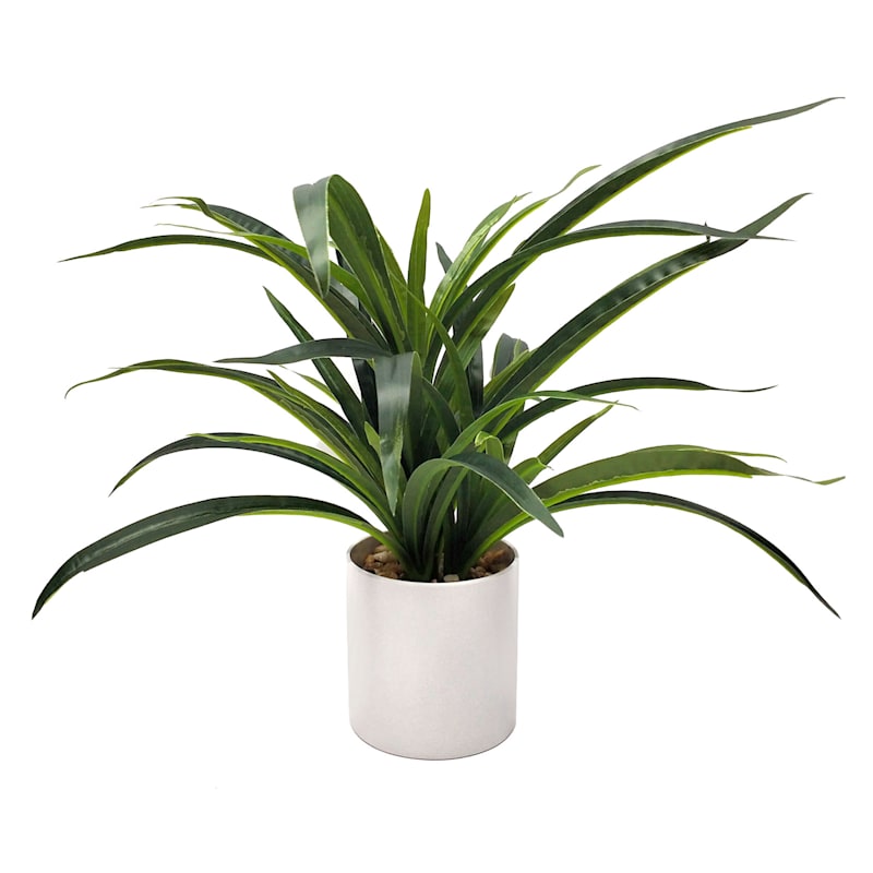 Grass Plant with White Planter, 14"